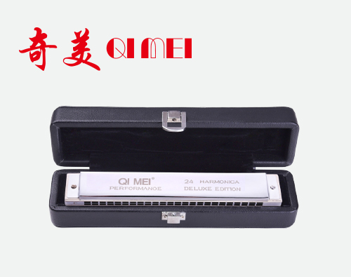 24孔珍藏版复音C调口琴（银色）